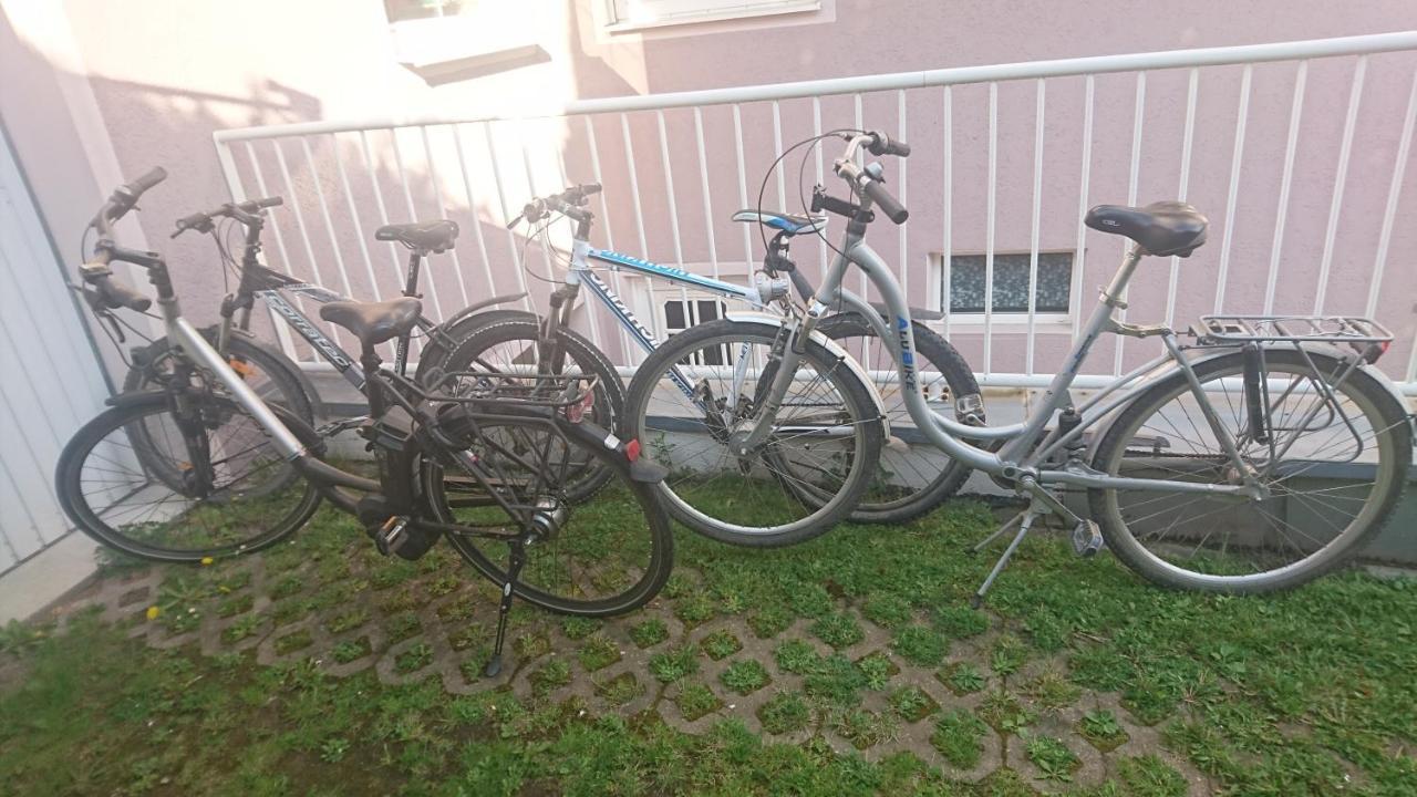 Ferienwohnung Lang Nittenau Zewnętrze zdjęcie